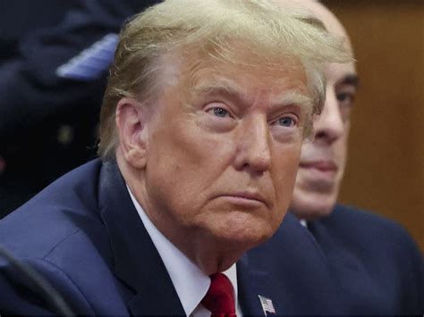 michi scandal porn|Judge in Trump Hush.